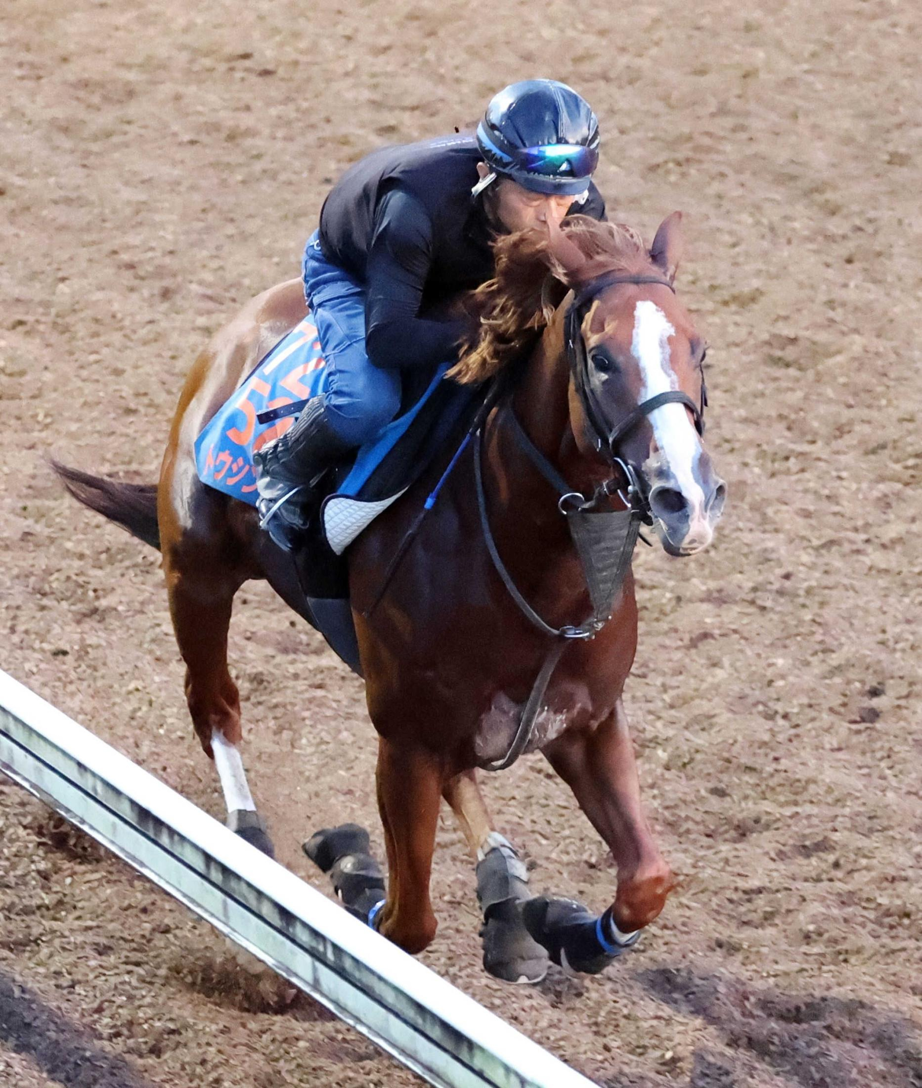 【セントウルＳ】トウシンマカオ　連覇へ爆進　Ｇ１戦線占う前哨戦！さあ秋競馬開幕　重賞６勝目へ抑え切れないほどの手応え