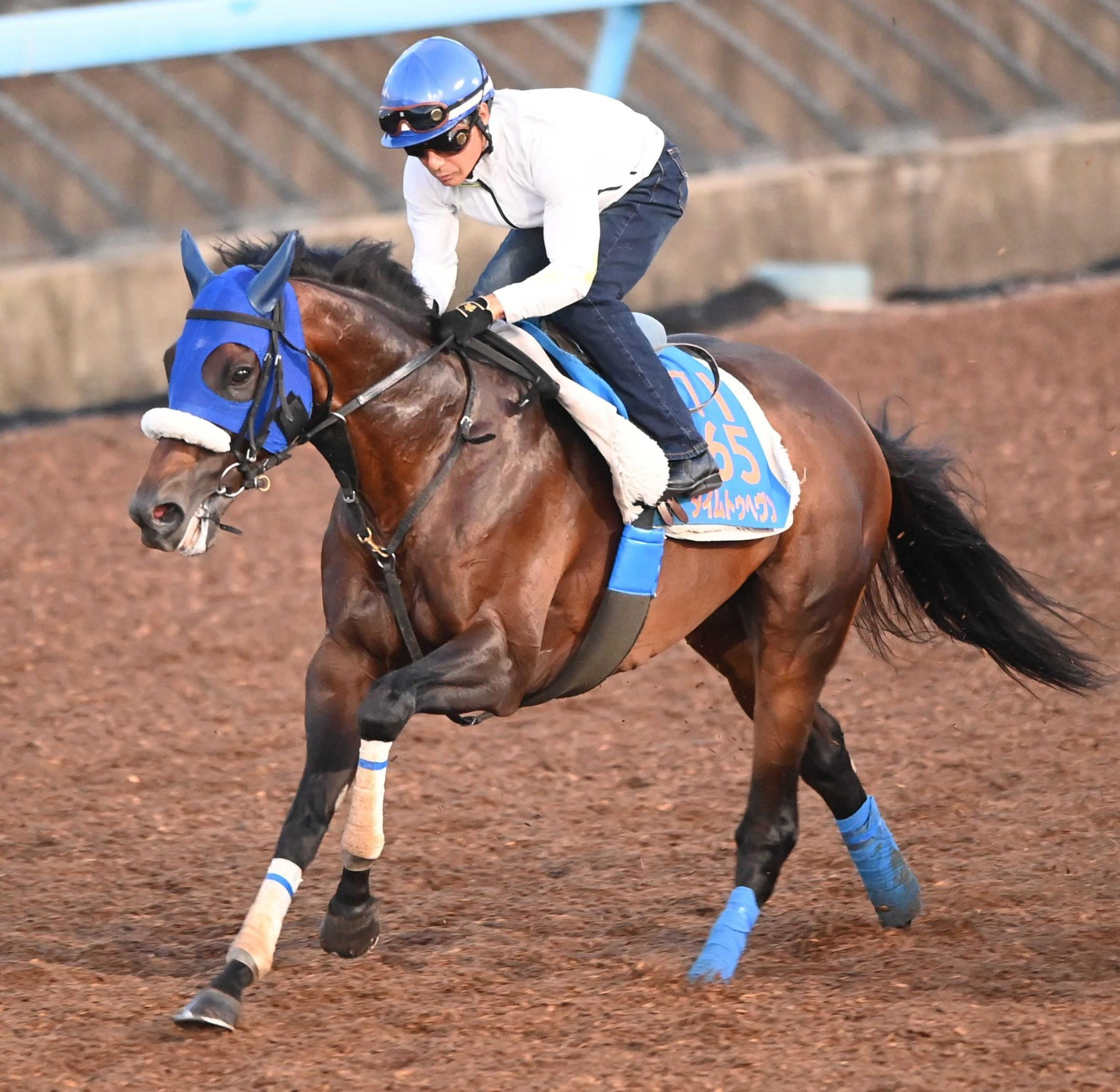 【京成ＡＨ】左肩手術から９カ月ぶりに柴田善が復帰　タイムトゥヘヴンと復活Ｖだ！「やろう。みっともない競馬はできない」