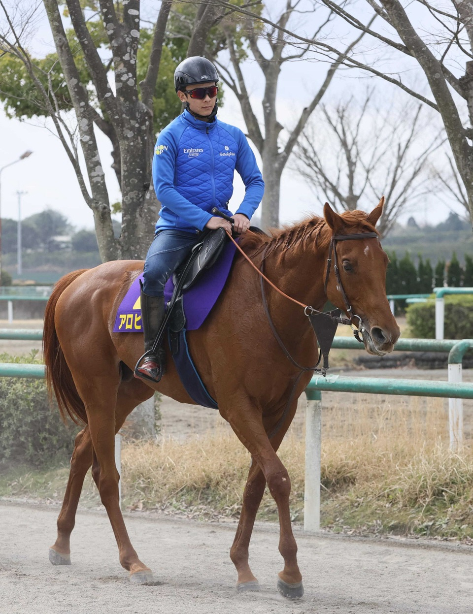 ギヨームドルナノ賞を制したアロヒアリイは次戦・凱旋門賞も引き続きルメールとのコンビで参戦