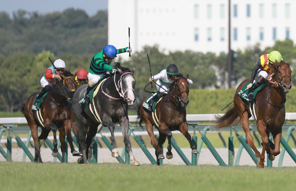 中京２歳Ｓを制したキャンディードはデイリー杯２歳Ｓへ向かう