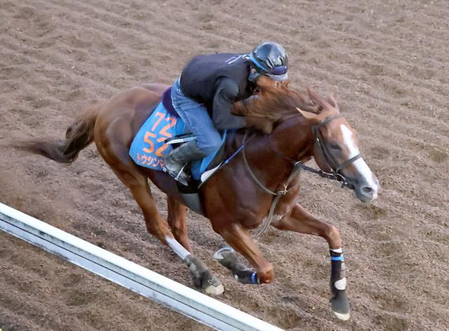 【セントウルS】連覇&重賞6勝目へ万全!トウシンマカオ、理想的な加速ラップを刻んだ