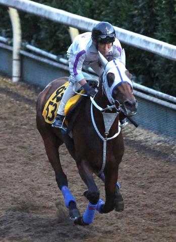 【セントウルS】ワンダーキサラ　石橋師も納得顔「重賞の舞台でも」