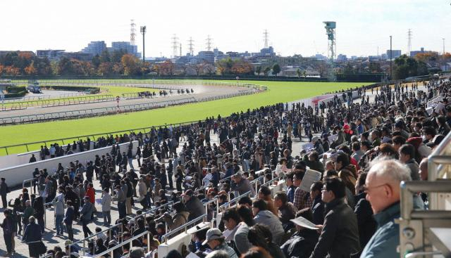 【中山5R・新馬戦】ランプローグ最内強襲V　石田「内容良かった。競馬が上手な馬」