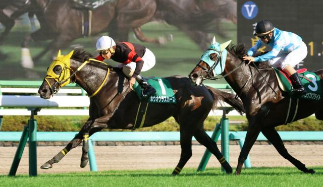 【京成杯AH】最内伸びて90万円超馬券演出!13番人気ホウオウラスカーズVで秋の中山開催は大波乱の幕開け
