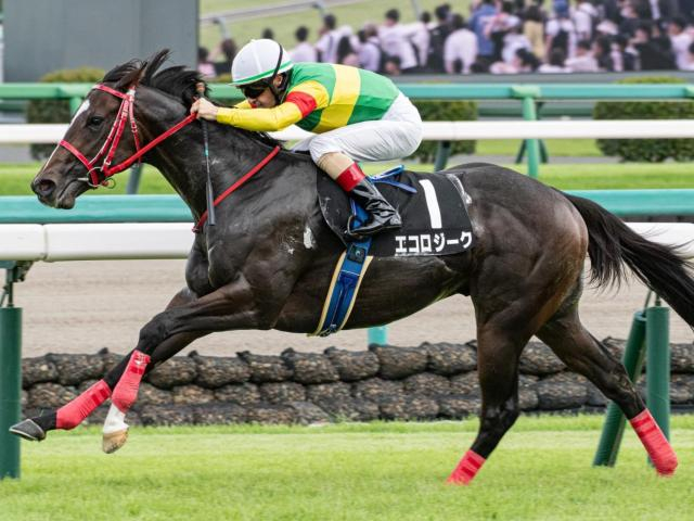 【セントウルS】国内3戦3勝のエコロジーク 連勝で重賞初制覇なるか