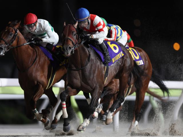 【コリアスプリント結果】日本勢はチカッパが2着 香港のセルフインプルーブメントがV