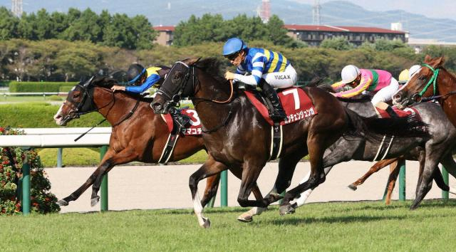【セントウルS】カンチェンジュンガ　豪快に差し切り重賞2勝目　父ビッグアーサーと親子制覇