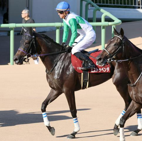 【紫苑S】エストゥペンダ猛然と追い込むも5着　菅原明良騎手「もう少しペースが流れてほしかった」