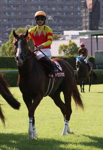 【セントウルS】3着トウシンマカオ　アクシデントも横山武「本番へのひと叩きとしては良かった」