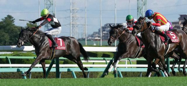 【紫苑S】ケリフレッドアスク逃げ切りV　7番人気で秋華賞切符ゲット　4年目西塚が重賞初制覇