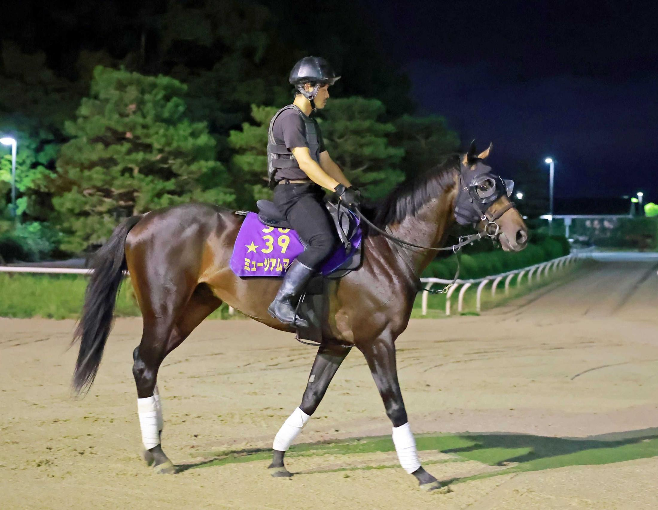 【セントライト記念】ミュージアムマイル　堂々主役へ　皐月賞馬の貫録走りで菊へ弾みだ　減点１のＶデータも後押し