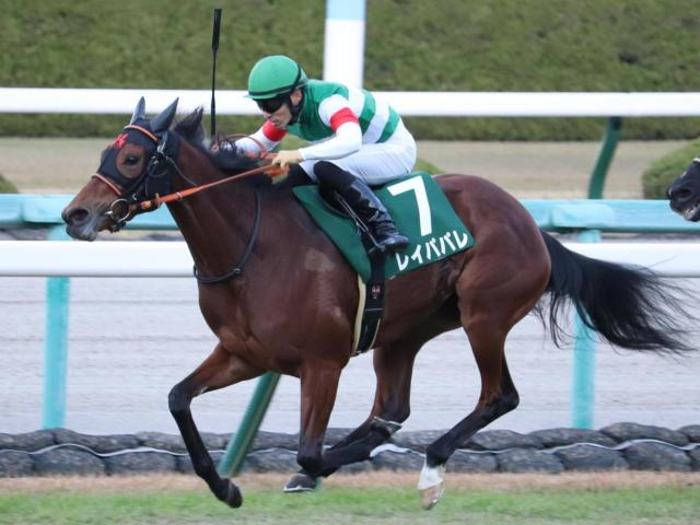 無傷5連勝での戴冠 レイパパレが制したチャレンジCから5年
