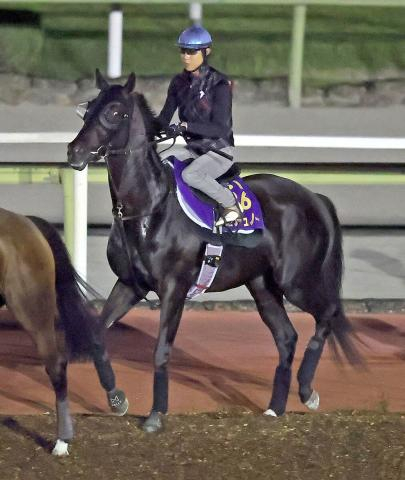 【プランスドランジュ賞】クロワデュノールが現地で追い切り　凱旋門賞前哨戦へ北村友一騎手「良いコンディション」