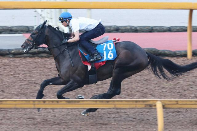 【チャレンジC】サブマリーナ　武豊好感触!CWコース鋭伸1F11秒5で先着