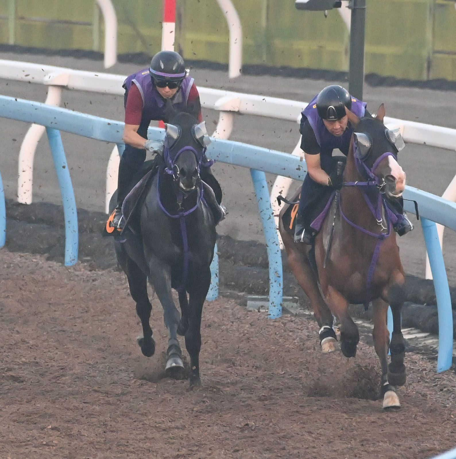 【セントライト記念】ピックデムッシュ　余裕ある動き、鹿戸師「仕上がりは問題ない」　２戦２勝の舞台で重賞初挑戦初制覇へ