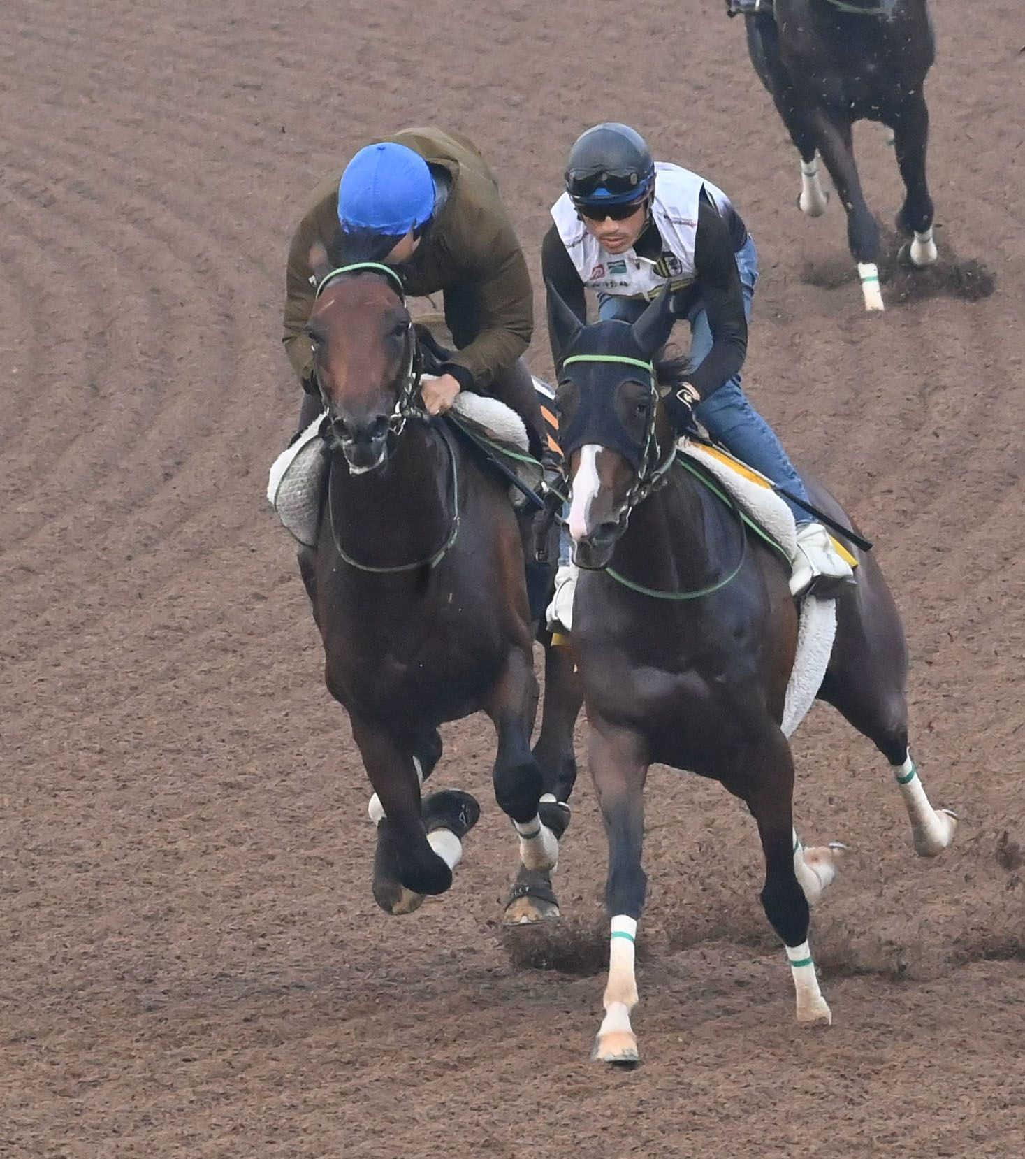 【セントライト記念】レッドバンデ　成長示した！佐々木「動きは良かった」　大竹師「このひと追いでどれだけ絞れるか」
