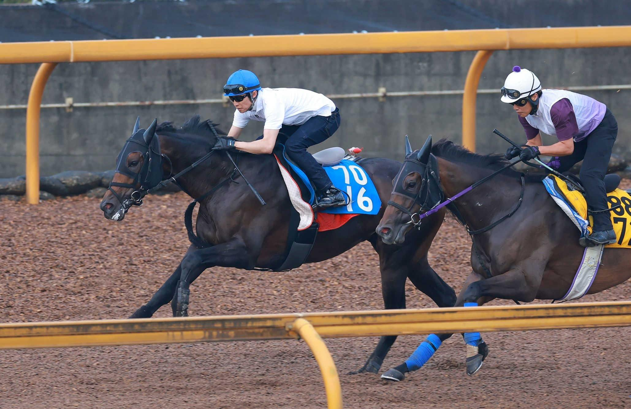 【チャレンジＣ】サブマリーナ　迫力満点！武豊「きょうの感じはすごく良かった」　庄野師「あとはジョッキーに任せます」