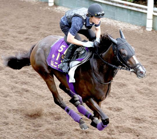 【ローズS】オークス馬カムニャックがソフト調教で万全の態勢「春に比べるとたくましくなった」友道調教師
