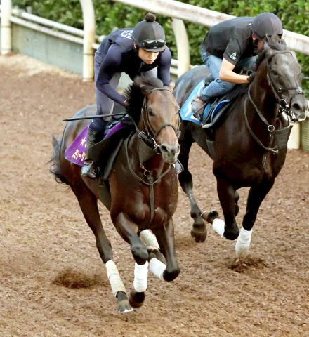 【セントライト記念】皐月賞馬ミュージアムマイルさらに成長「ひと回り体が大きくなり、追い切っても体重が減らなくなった」高柳大調教師　