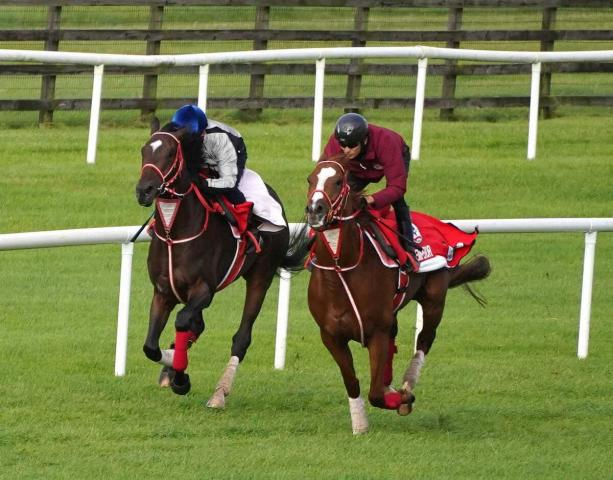 愛チャンピオンS出走馬&枠順確定　8頭立てでシンエンペラーは1番ゲート