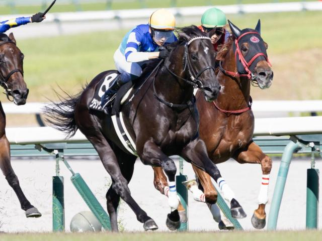 【チャレンジC】「大魔神」佐々木主浩オーナーのグランヴィノスが重賞初制覇なるか