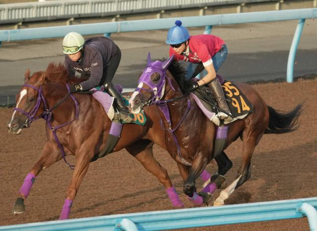 【セントライト記念】ビーオンザカバー　伊藤圭師「凄くリズム良く走れていた」