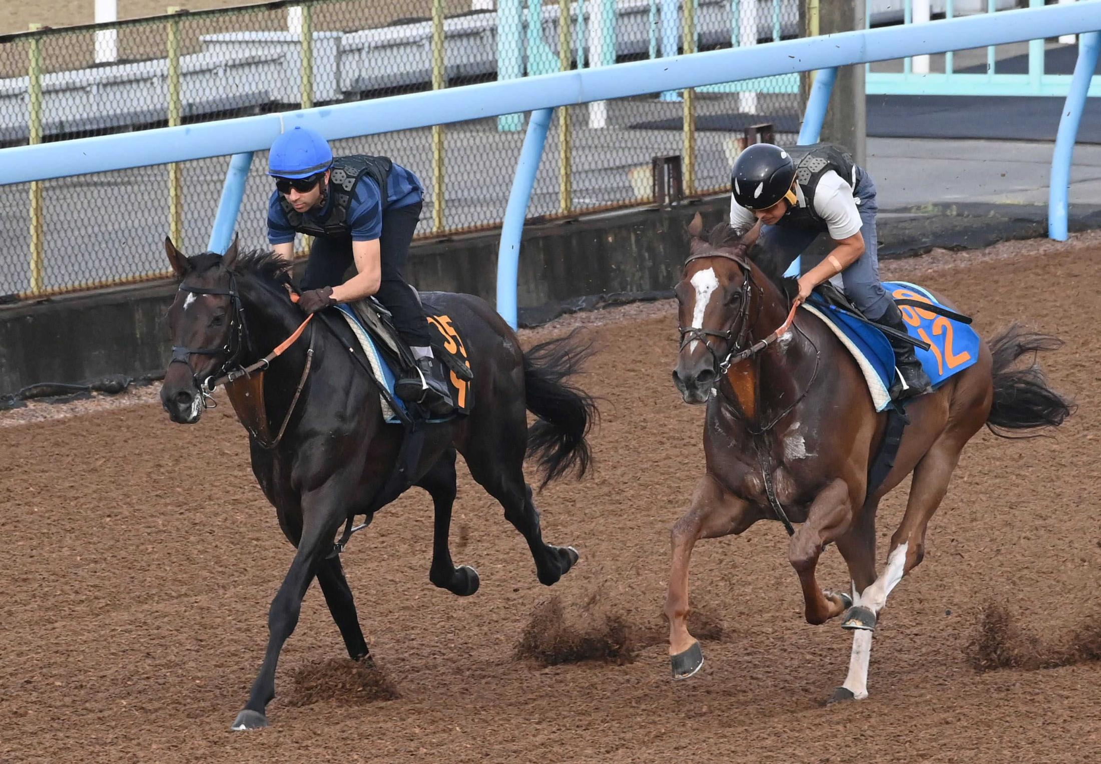 【セントライト記念】“マジックマン”モレイラ　秋競馬も旋風再び！ファイアンクランツ遅れも「ノープロブレム」