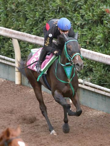【ローズS】過去10年で1番人気3勝…1勝クラスV組は4勝!マトラコーニッシュの一発があってもおかしくない