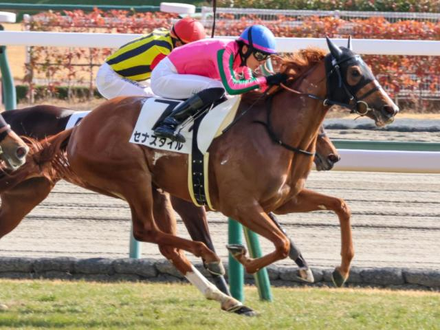 ローズSの勝ち馬は血統から探せ？ 歴代覇者の華麗な背景に注目