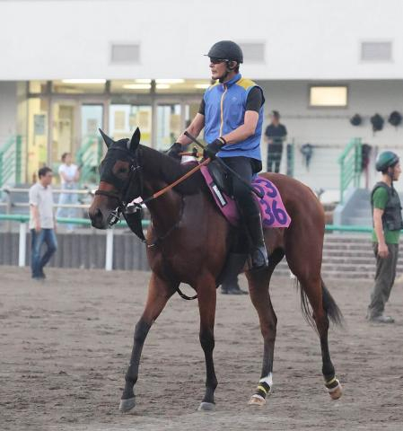 【ローズS】タイセイプランセスは夏休みでリフレッシュ　池上昌和調教師「オークスはお釣りがなかった」