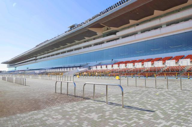 江田照男騎手は中山6Rで転倒も人馬とも異常なし　13日の中山、阪神競馬出来事