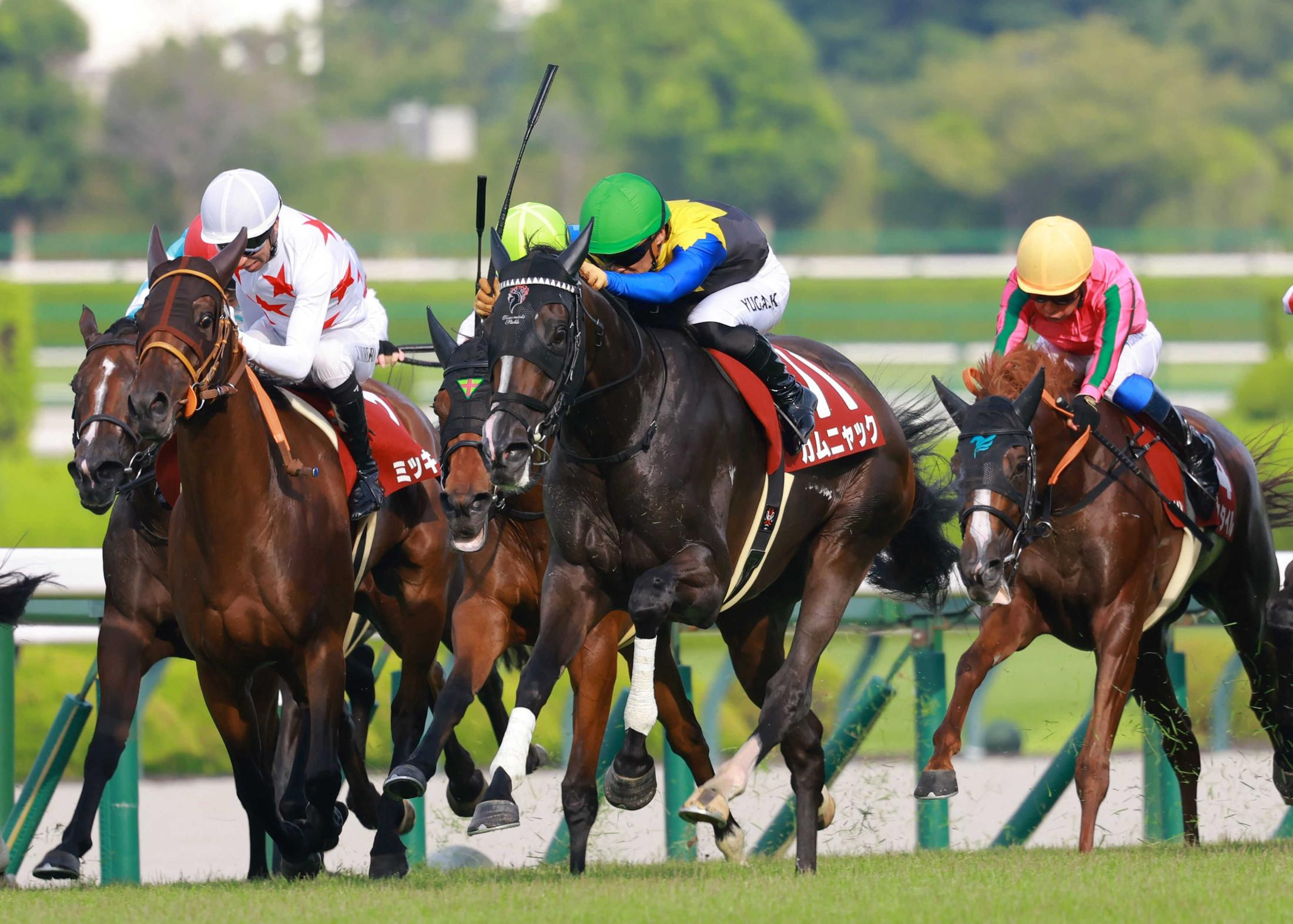 【ローズＳ】カムニャック　４角不利も勝ち切った　川田「能力だけで何とか勝ち切れた」