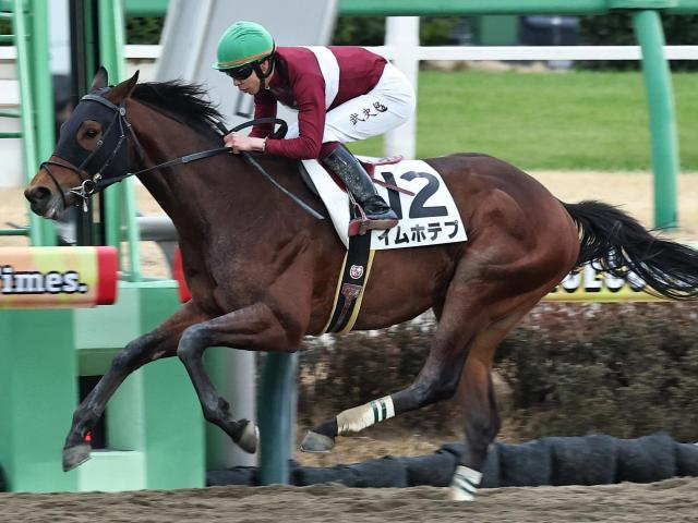 【内房S】砂の大物候補イムホテプ 2連勝でオープン入りなるか