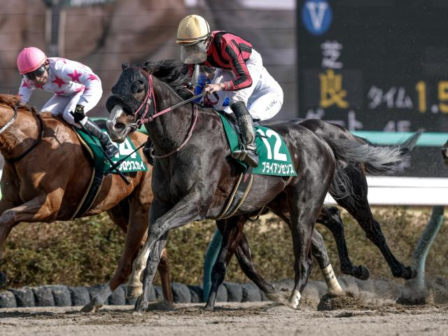 【シリウスS想定馬・騎手】ブライアンセンス、ジンセイなど17頭