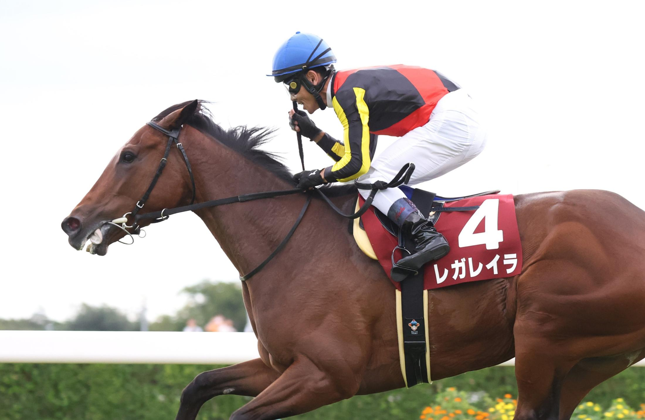【オールカマー】唯一のＧ１馬レガレイラが貫禄Ｖ　兄ドゥラドーレスときょうだいワンツー決めた
