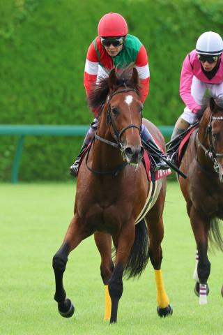 【神戸新聞杯】キタサンブラックの半弟アルマデオロは6着　兄の主戦だった武豊騎手「現時点では最後の決め手の差」
