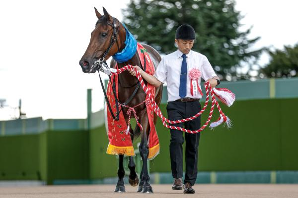 【スプリンターズS AI予想】人気を考えれば魅力十分!? Aiの注目馬をさまざまな角度から分析