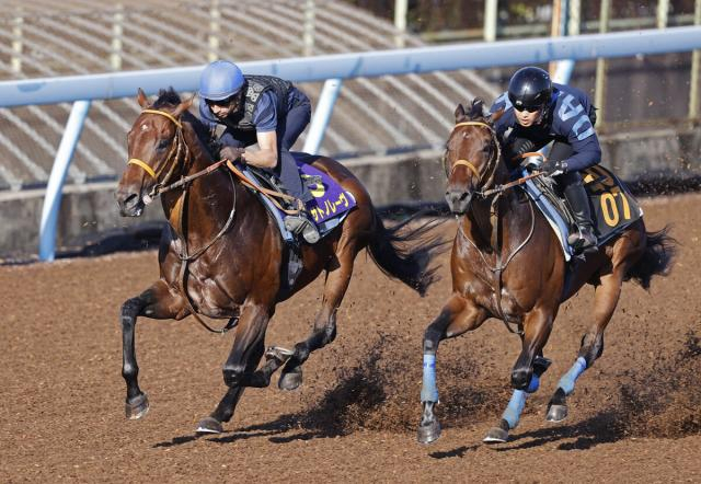 【スプリンターズS】サトノレーヴは軽めの追い切り　昨年7着も堀調教師「能力を出すのに問題あるコースではない」
