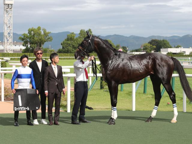 【紫菊賞レース後コメント】ロードラヴォール中内田充正調教師ら