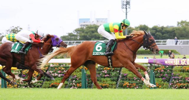 【サウジアラビアRC】2番人気のエコロアルバが無傷2連勝で重賞初V　最後方から直線一気