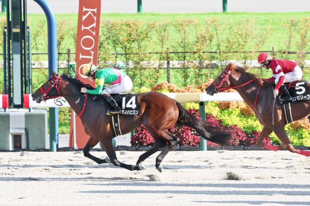【京都11R・御陵S】タガノビューティーの全弟タガノバビロンが3連勝でオープン入り　松山弘平騎手「上でも楽しみ」