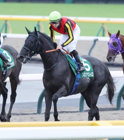 【サウジアラビアRC】1番人気のゾロアストロは3着　ルメール騎手「ジリジリだったね」