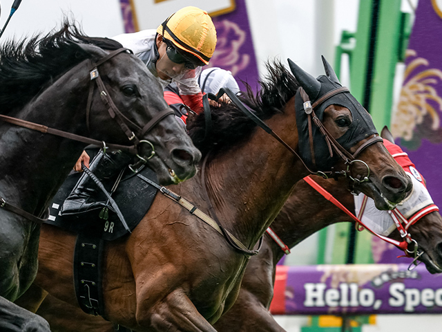 【陣馬特別レース後コメント】ダノンホイットニー佐々木大輔騎手ら