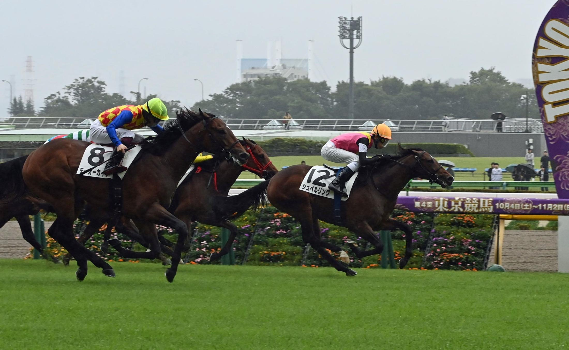 【新馬戦】シュペルリング　好位から抜け出し勝利　嘉藤師「渋った馬場も上手に走ってくれた」と健闘たたえる