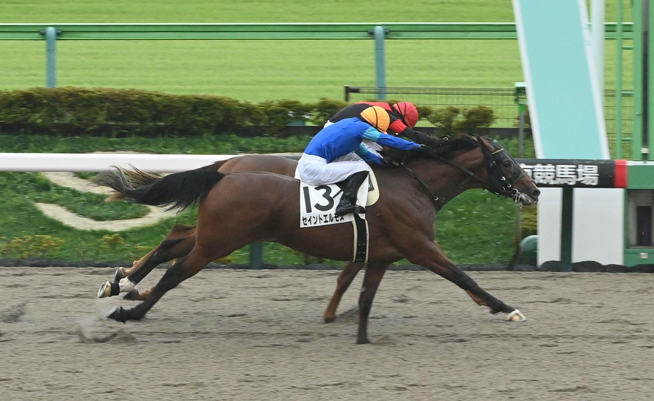 【新馬戦】セイントエルモズ　大波乱を演出！最後は鼻差で２着馬を蹴り落とし勝利　小島師「一番いいイメージの競馬になってくれた」