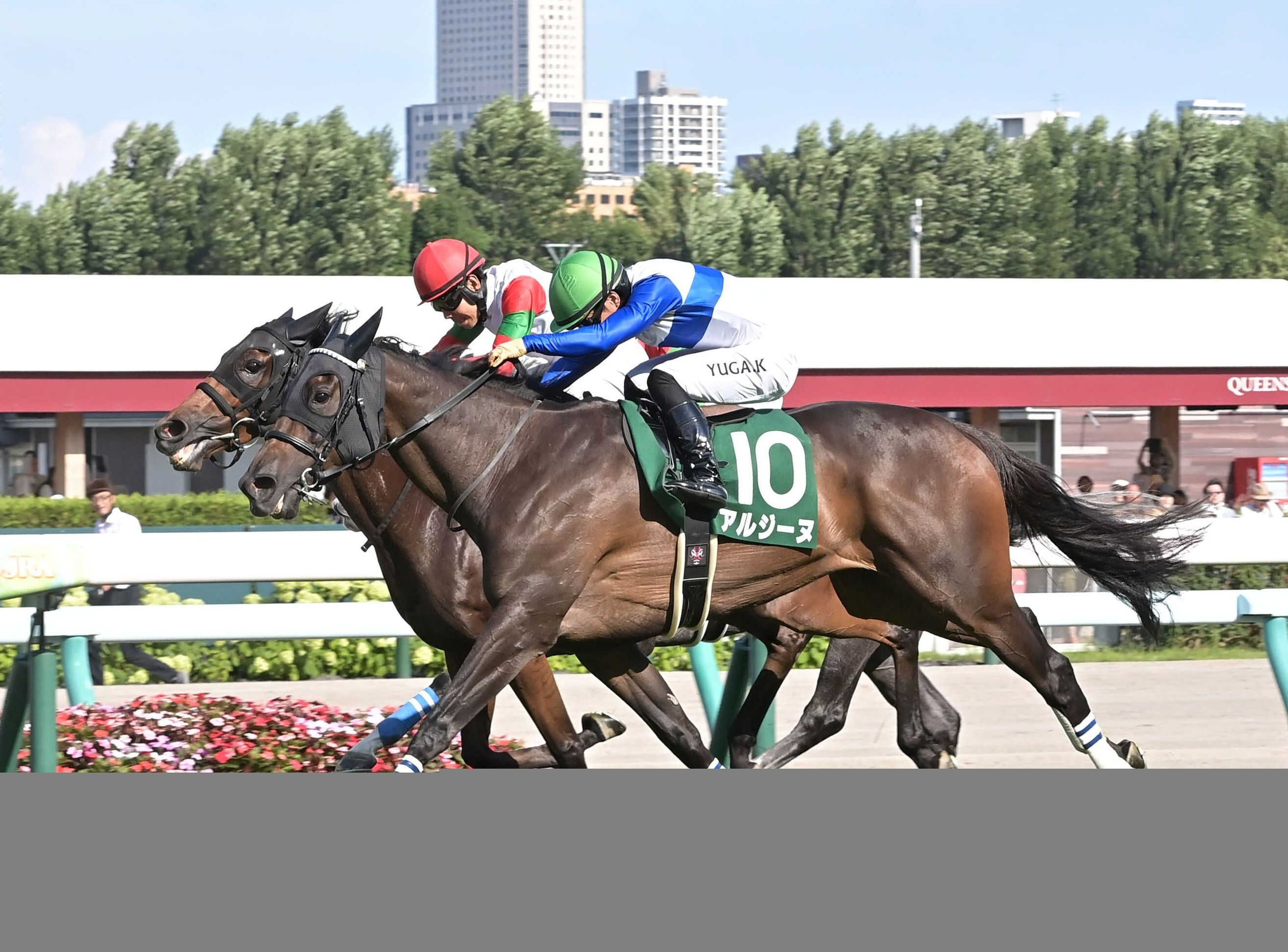 クイーンＳ覇者・アルジーヌがＢＣマイルを目指す　中内田師「雰囲気は変わらずいい」