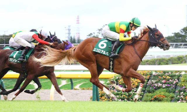 【サウジアラビアRC】「これは勝つな」坂井瑠星も確信した豪脚でごぼう抜き　エコロアルバが無傷2連勝で出世レースを制す