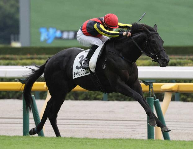 クロワデュノールの全弟チャリングクロスが初勝利!　新馬戦9着から一変　内田「力がある。将来が楽しみ」