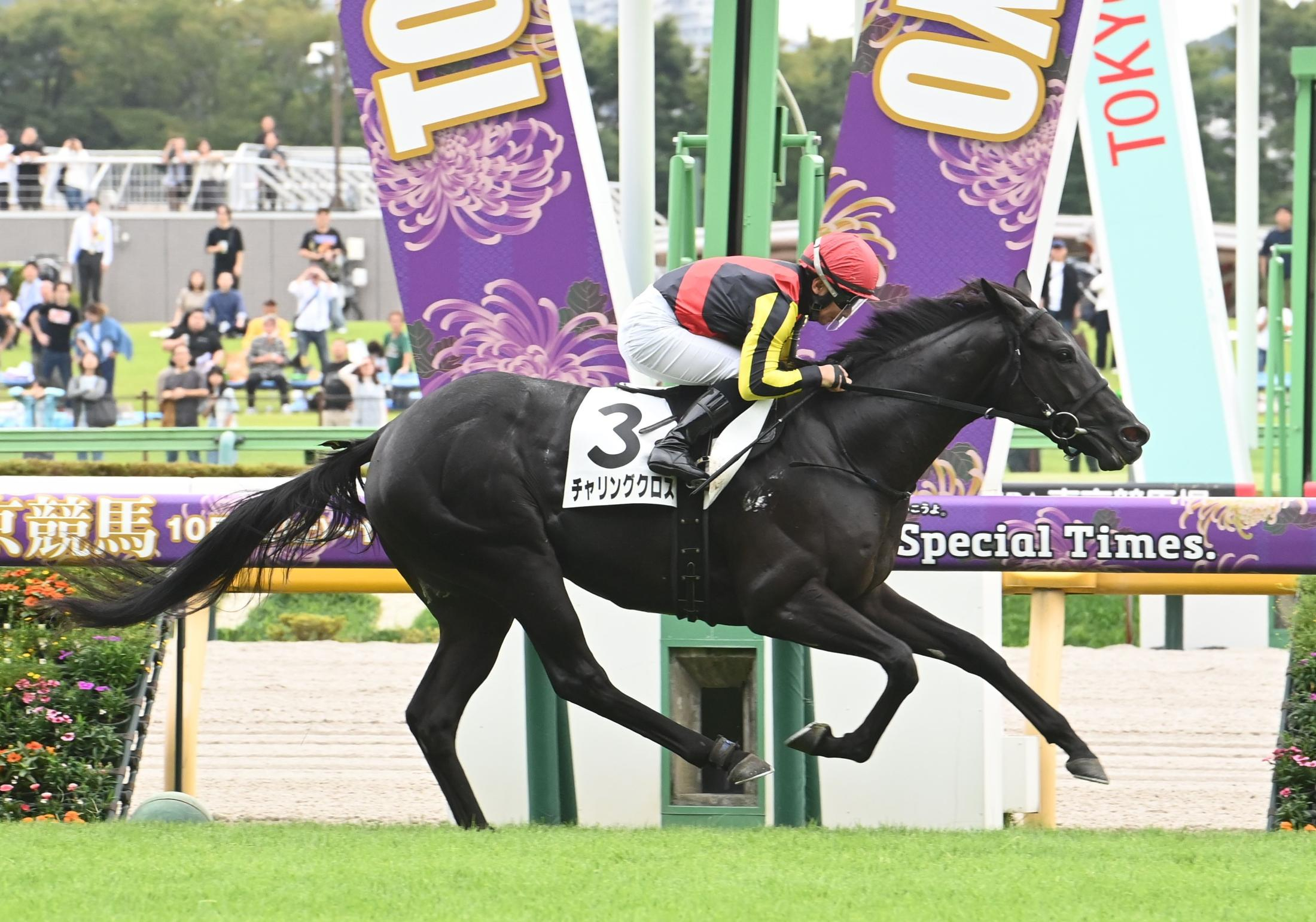日曜の東京競馬場は“良血馬祭り”　Ｇ１馬の弟＆妹＆子など３頭が快勝　ルメール＆内田博も高評価