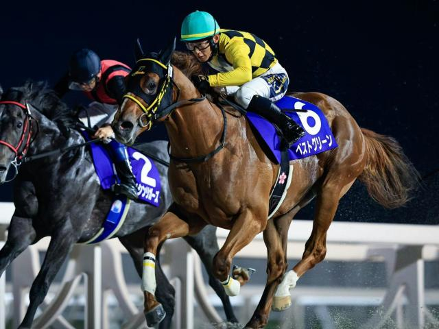 【川崎・鎌倉記念枠順】無傷3連勝中のホッカイドウ所属馬ベストグリーンは5枠5番 出走8頭